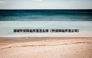 浦城外贸网站开发怎么样（外贸网站开发公司）