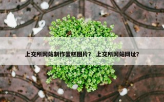 上交所网站制作蛋糕图片？ 上交所网站网址？
