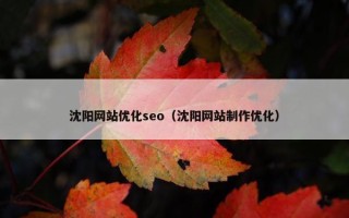 沈阳网站优化seo（沈阳网站制作优化）