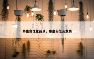 秦皇岛优化前景，秦皇岛怎么发展