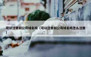 可以注册别公司域名吗（可以注册别公司域名吗怎么注册）