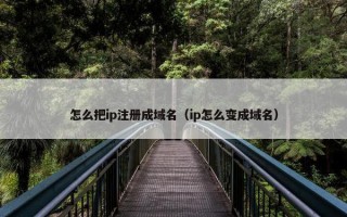 怎么把ip注册成域名（ip怎么变成域名）