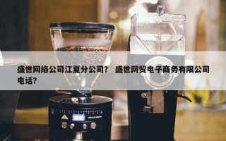 盛世网络公司江夏分公司？ 盛世网贸电子商务有限公司电话？