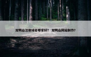 双鸭山注册域名哪家好？ 双鸭山网站制作？