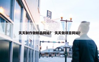 天天制作做精品网站？ 天天做项目网站？
