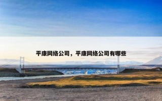 平康网络公司，平康网络公司有哪些