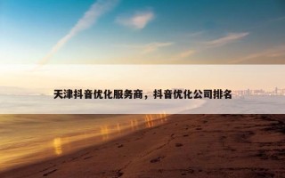 天津抖音优化服务商，抖音优化公司排名