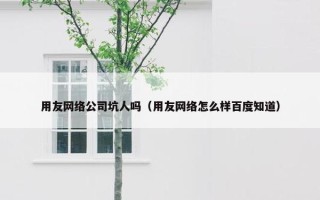 用友网络公司坑人吗（用友网络怎么样百度知道）