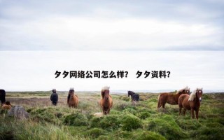 夕夕网络公司怎么样？ 夕夕资料？