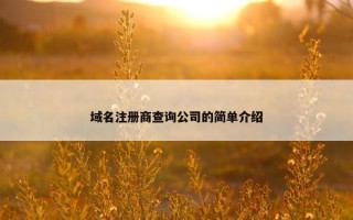 域名注册商查询公司的简单介绍