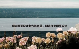 期末网页设计制作怎么做，期末作业网页设计