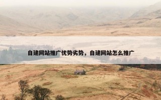 自建网站推广优势劣势，自建网站怎么推广