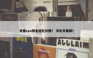 辛集seo排名优化价格？ 河北辛集网？