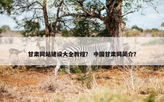 甘肃网站建设大全教程？ 中国甘肃网简介？
