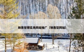 销售管理实务网站推广（销售型网站）