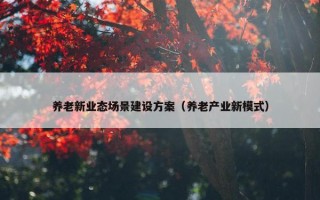 养老新业态场景建设方案（养老产业新模式）