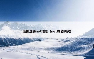 低价注册net域名（net域名购买）