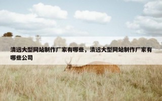 清远大型网站制作厂家有哪些，清远大型网站制作厂家有哪些公司