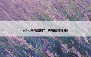 soho跨境建站？ 跨境店铺搭建？