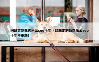 网站定制甄选乐云seo十年（网站定制甄选乐云seo十年不更新）