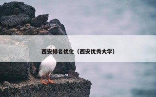 西安排名优化（西安优秀大学）