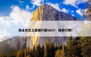 排名优化工具搜行者SEO？ 搜索行吧？