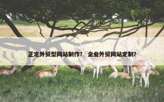 正定外贸型网站制作？ 企业外贸网站定制？