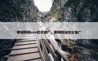 聊城网络seo优化推广，聊城网站优化推广