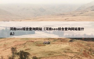 河南seo综合查询网站（河南seo综合查询网站是什么）