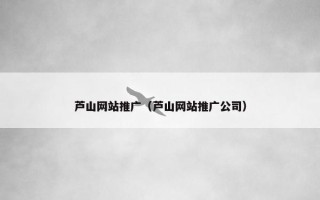 芦山网站推广（芦山网站推广公司）