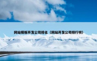 网站模板开发公司排名（网站开发公司排行榜）