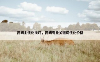 昆明主优化技巧，昆明专业关键词优化价格
