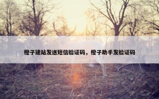 橙子建站发送短信验证码，橙子助手发验证码
