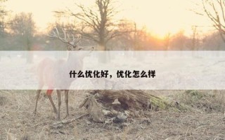什么优化好，优化怎么样