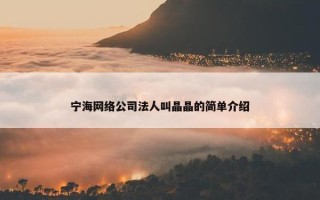 宁海网络公司法人叫晶晶的简单介绍