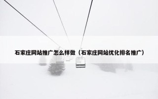 石家庄网站推广怎么样做（石家庄网站优化排名推广）