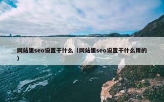 网站里seo设置干什么（网站里seo设置干什么用的）