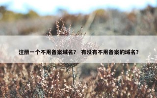 注册一个不用备案域名？ 有没有不用备案的域名？