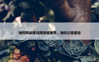 潍坊网站建设路隧道推荐，潍坊公路建设