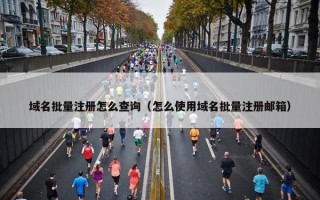 域名批量注册怎么查询（怎么使用域名批量注册邮箱）