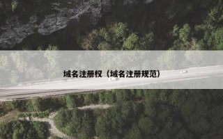 域名注册权（域名注册规范）