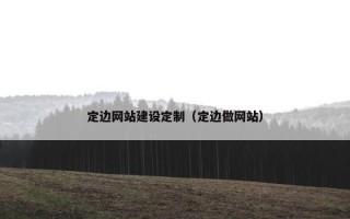 定边网站建设定制（定边做网站）