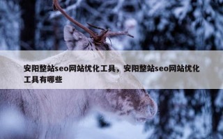 安阳整站seo网站优化工具，安阳整站seo网站优化工具有哪些