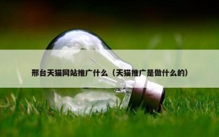 邢台天猫网站推广什么（天猫推广是做什么的）