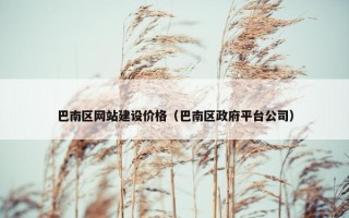 巴南区网站建设价格（巴南区政府平台公司）