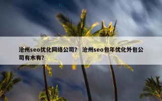 沧州seo优化网络公司？ 沧州seo包年优化外包公司有木有？