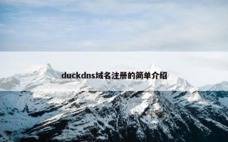 duckdns域名注册的简单介绍