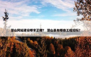 潜山网站建设哪家正规？ 潜山县有哪些工程招标？