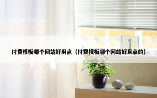 付费模板哪个网站好用点（付费模板哪个网站好用点的）