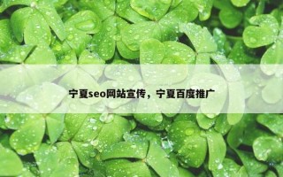 宁夏seo网站宣传，宁夏百度推广